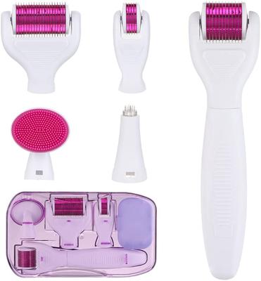 Rodillo Derma para Rostro - Set de Rodillo de Microagujas y Sello Derma 6 en 1 para Mesoterapia - Mejora la Textura de la Piel, los Poros y el Crecimiento del Cabello