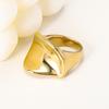 INSSGG Titanium Steel Irregular Curved Ring - European & American Style, High-End Niche Design with Smooth Surface.