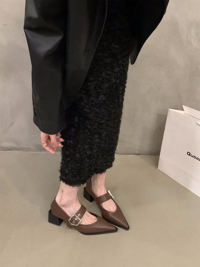 Single shoes 2024 new spring and autumn pointed high heels thick heel Mary Jane French retro small leather shoes single shoes women's shoes