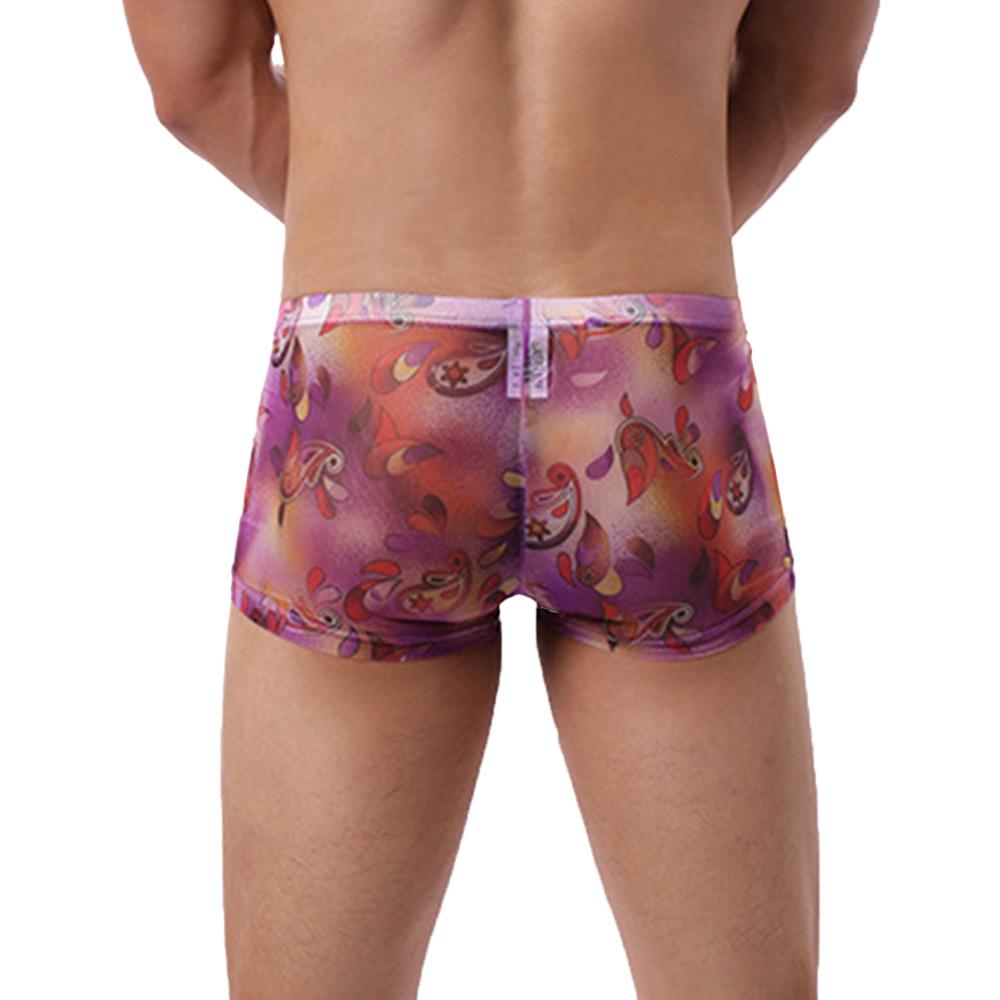 Pantalones cortos Boxer de malla para hombres Calzoncillos transparentes  impresos Ropa interior Bragas de bikini transpirables comprar a buen precio  — entrega gratuita, reseñas reales con fotos — Joom