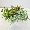 Plasticlysimachia Christinae Fake Branch For Wedding Decor And Studio Photography