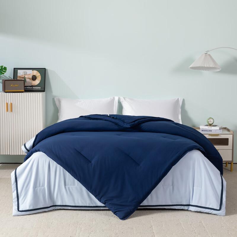 Guroo Home Textile Skin-Friendly 2-in-1 Four Seasons Duvet