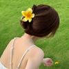 One Large and Two Small, Gradient Color Flower Hair Clip, Summer Fashion Casual Style Hair Accessory Perfect for Outings