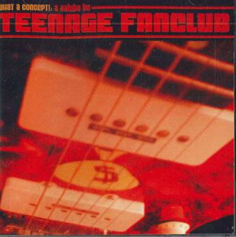 

CD VARIOUS - What A Concept!: A Salute To Teenag WIV027CD WIZZARD IN VINY 2004 Japan ObiRock Used