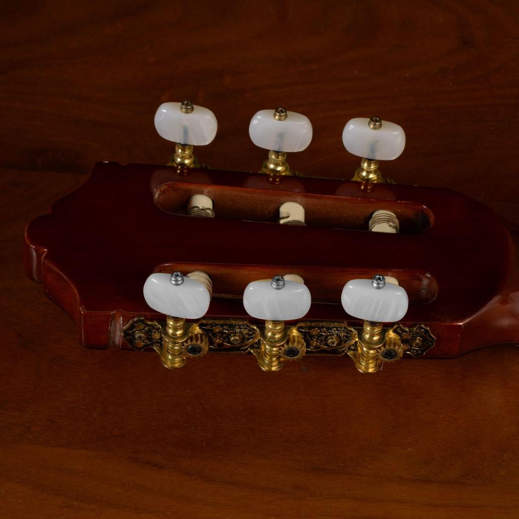 Pevná vrchní deska, Akusticko-elektrická klasická kytara, Výřez (Cutaway), Červený smrk, Nylonové struny, Pokročilá hra, Unisex