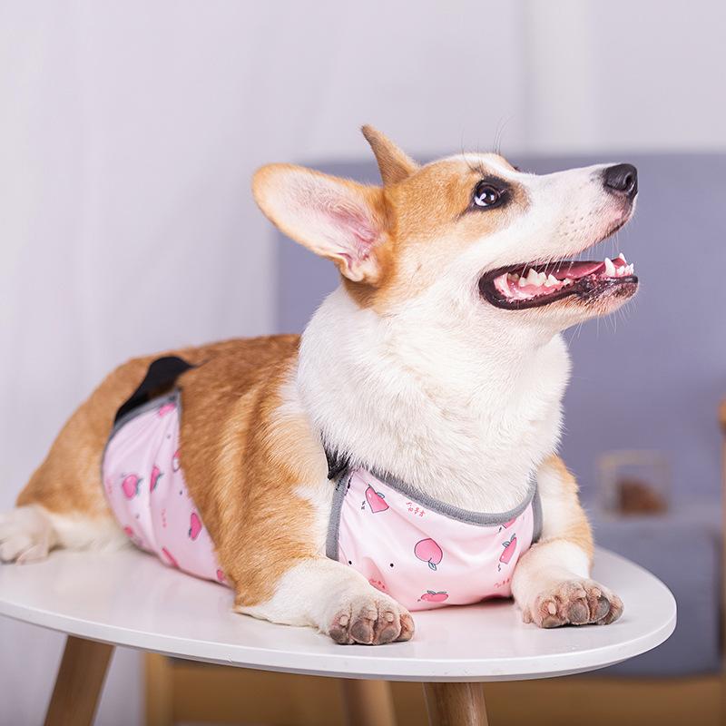 New Ins Dog Apron Anti-cold Clothes Warm Method Bucket Raincoat Pet Waterproof Bib Cotong Printing Designer Dog Clothes