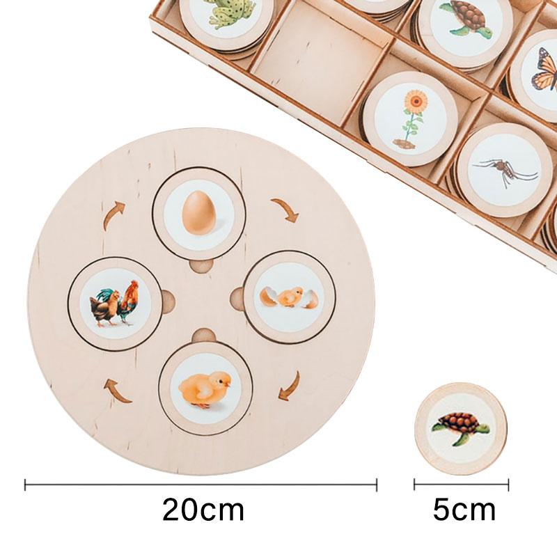 Life Cycle Board Montessori Kit Biology Science Education Toys for Kids Sensory Tray Animal Figure Life Cycle Sorting Wooden Toy