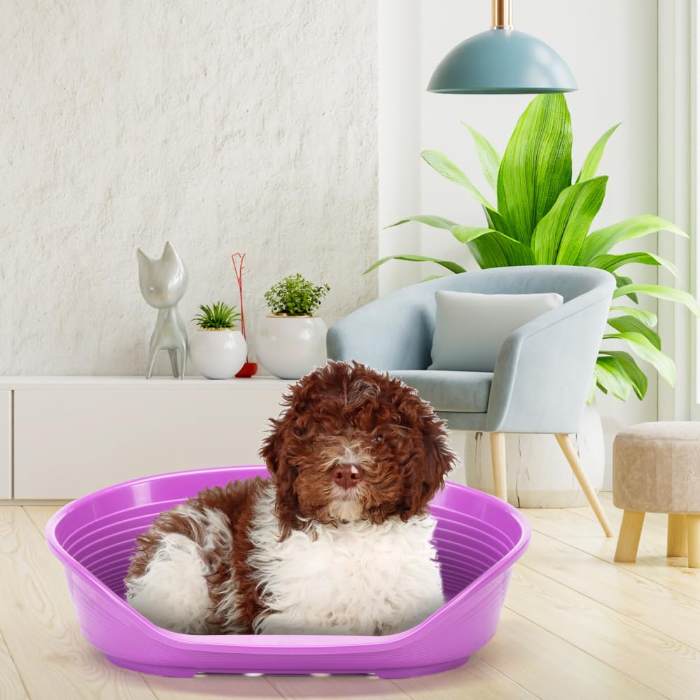 Ferplast Siesta DX 8 Washable Pet Bed for Dogs and Cats, Plastic House, Purple