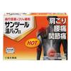 [Third-class OTC Drug] Santool Warm Compress EX, 30 Sheets
