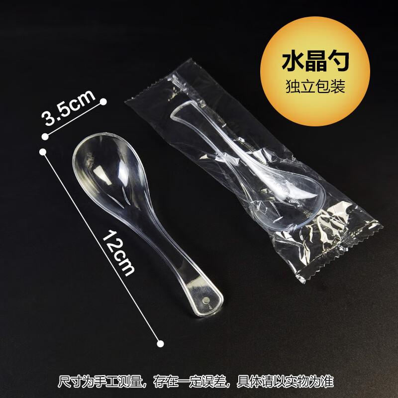 Homeglen Disposable Plastic Spoons