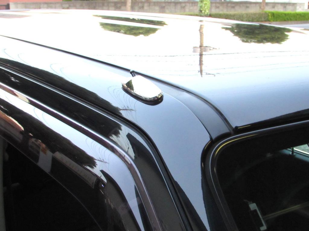 BRIGHTZ Every Van DA17V Plated Antenna Cover AA Type [ANTENNA-016]