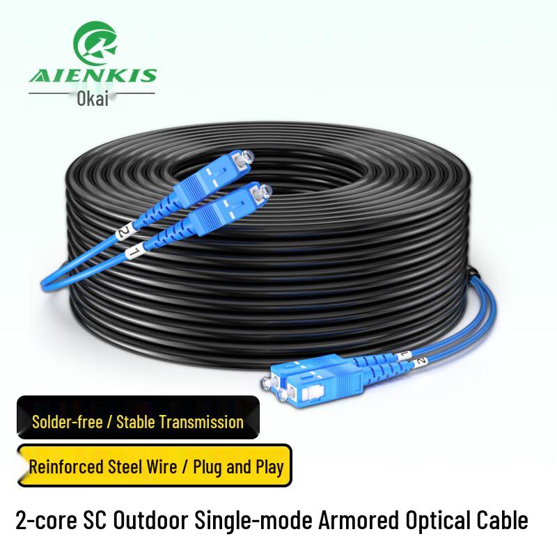 AIENKIS Outdoor Single-Mode Armored Fiber Optic Patch Cord