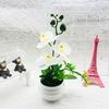 Phalaenopsis Potted Decorative Plant For Living Room Decor And Gift Display
