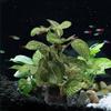 Plastic Lifelike Realistic Simulated Underwater Faux Aquarium Plants Turtle Jar Ornament Artificial Plants Ficus Tree