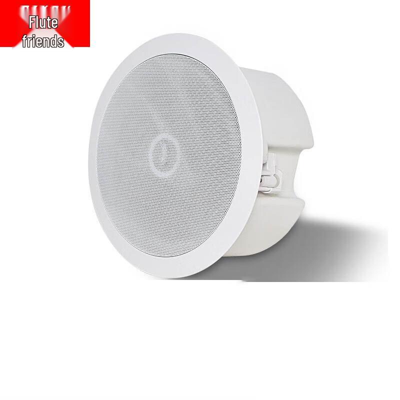 Diyou 8-inch Coaxial Constant Voltage Ceiling Speaker
