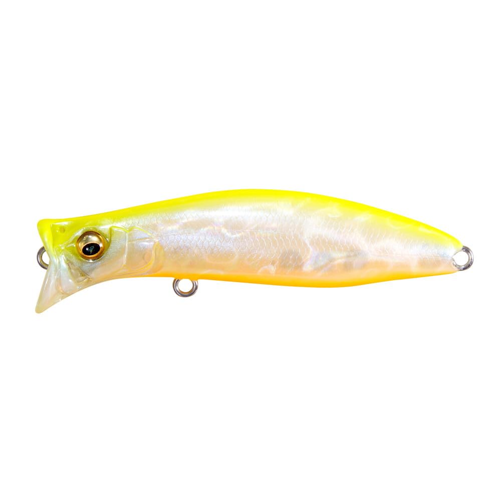 

KIRINJI 70 Shell Skin Lemon OB