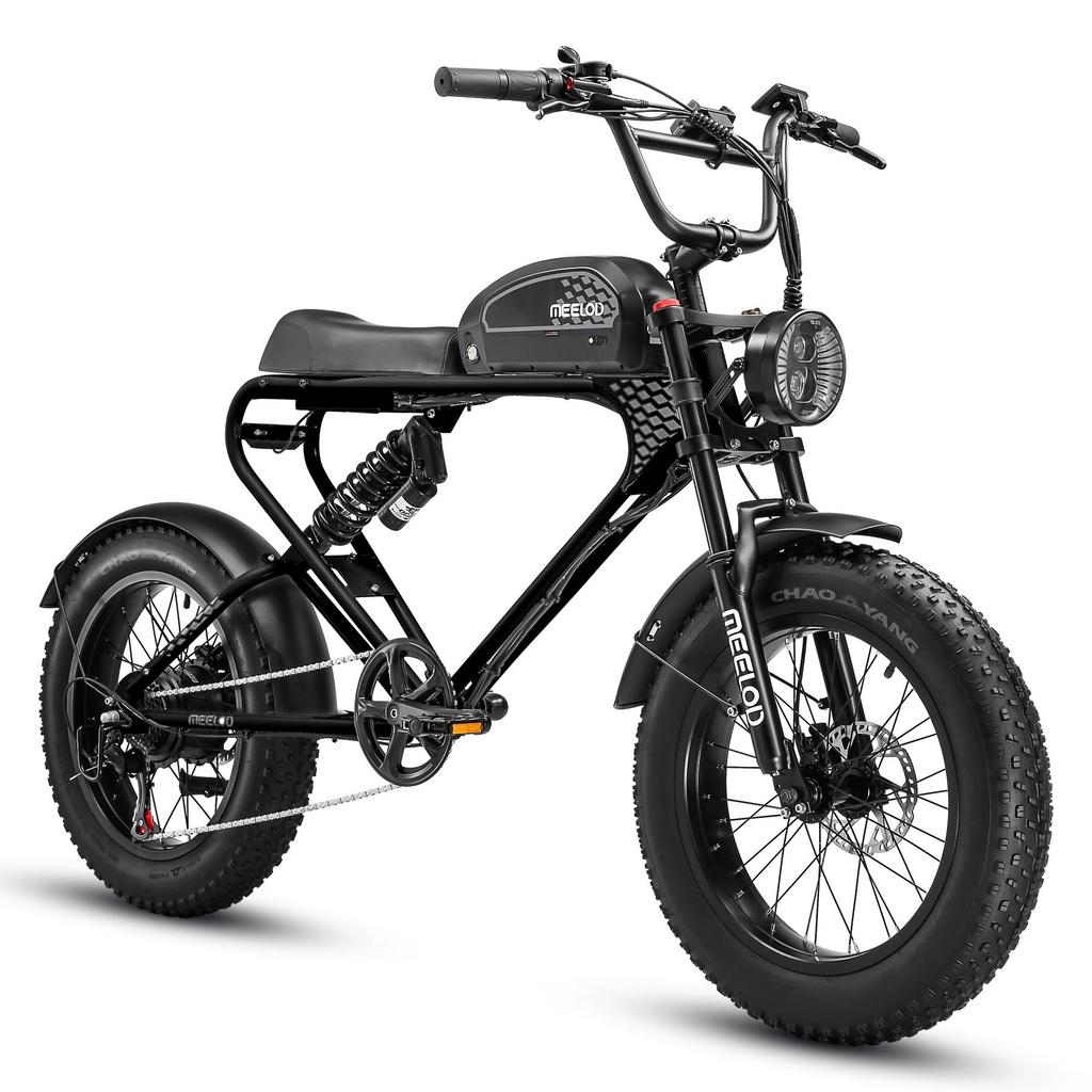 MEELOD DK300PLUS Adult Electric Bicycle 750W Motor 48V20Ah Battery Electrical Road Bike 20" Fat Tire Retro Urban Commuting Mountain E-Bike
