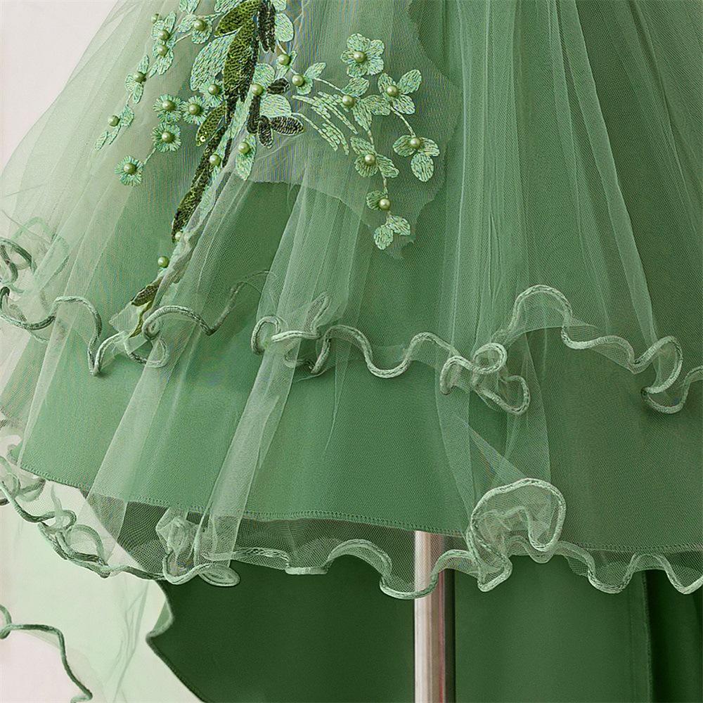 Children's Princess Embroidered Formal Piano & Party Dress