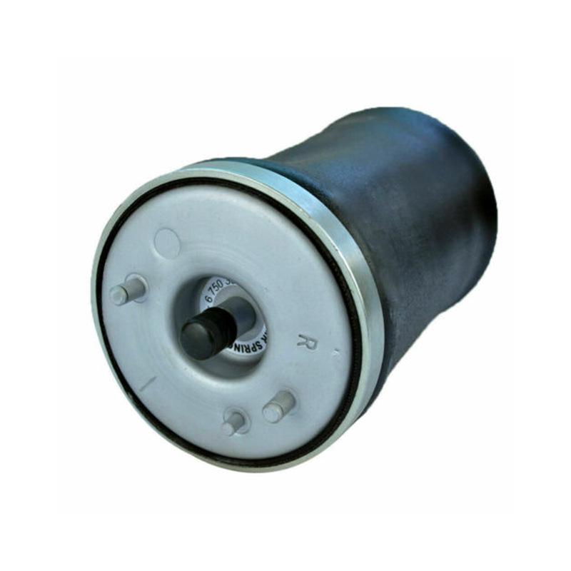 Luftfederbein hinten links für BMW X5 E53 37121095579