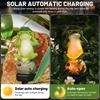 Solar-Frosch-Schnecken Gartenleuchte Außen Wasserdichte Solar-Erdspießleuchten für Rasenornamente Terrasse Hof Rasenkunst Dekor Gartengeschenke