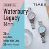 Timex Watch WATERBURY LEGACY Japan Limited 36MM Waterbury Legacy TW2V66500 Silver