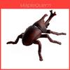 Realistic Pvc Insect Bees Spiders Model Set For Science Education And Collection Display