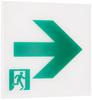 FK20317 Compatible Sign for Aisle Exit Class BL Type Direct Class BH Type Direct Mount Lights, B, (20B Type) Mount, B, (20A Type)