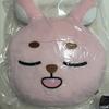 DAY6 Wonpil Pilki Face Cushion (Polaroid x)