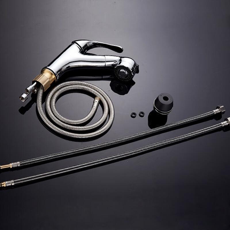Gongli Hot & Cold Pull-Out Basin Faucet
