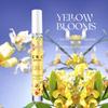 Alcohol-Free Perfume Gift Set: Long-Lasting Fresh & Elegant Fragrance Mist for Outdoor Beach Ladies