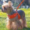 Comfortable Dog Harness Vest Adjustable Puppy Chest Strip Practical Dog Leash  for Puppy Dogs