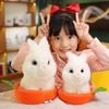 22 /28cm Funny Rabbit Carrot Nest Plush Toys Super Charming Fluffy Rabbit Dolls Creative Car Home Decoration Gift Kids Photo Props