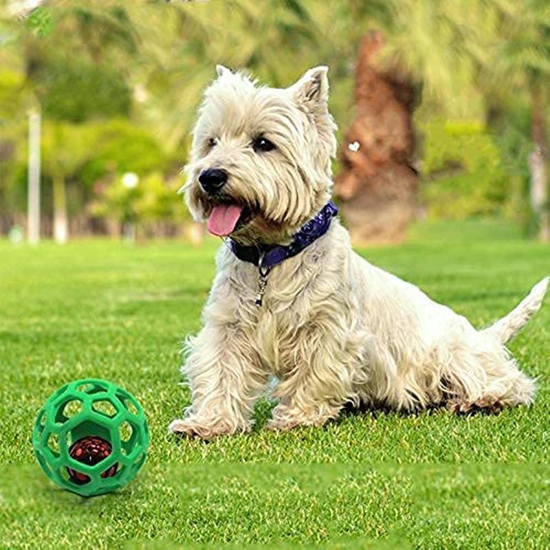Haustier Hund Beißspielzeug Hund Klein Gummi Interaktiv Gummi Interaktiv Haustier Snack Kauen Zu Ball Welpe Outdoor Trainingsspiel Zubehör