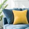 Nordic Simple Office Cushion Square Velvet Pillow Cover Without Insert Waist Pillow Living Room Cushions Pillow Sofa