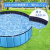 Piscina Smilemoon para Animais de Estimação Sem Inflação Chuveiro Simples para Interior Tamanho Médio 120 x 30 Fácil Para Piscina, Gatos/Cães, Piscina Infantil, Necessário, Piscina, Dobrável,