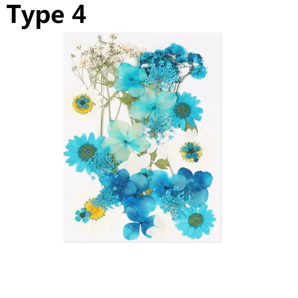 Dried Flowers UV Resin Decorative Natural Flower Stickers 3D Pressed Dried Flowers Beauty Decal Nail Art Epoxy Mold Filling
