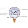 Capsule Pressure Gauge YE-60 Overpressure Prevention Micro Pressure Gauge 0-40kpa Hydraulic Pressure Kilopascal Meter