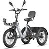 Bicicleta Eléctrica Fafrees F20 Mate Motor de 250W Frenos de Disco Doble Neumático de Aire 20"x2.5" Plegable E-Bike de Carga Pantalla LCD 48V 21Ah Carga Máxima 180Kg