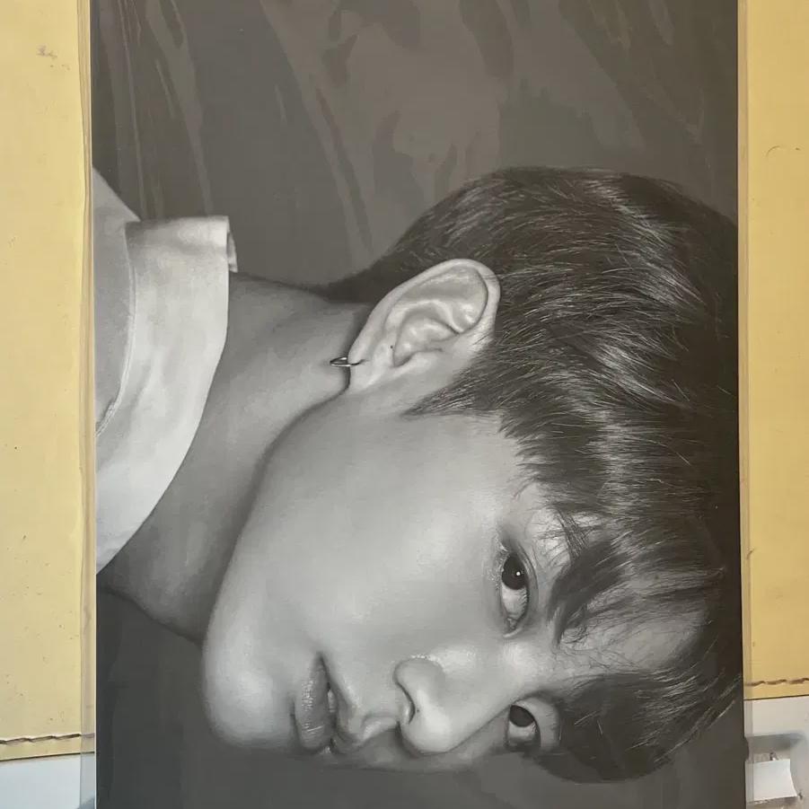 

Bts Jungkook Wimpappo