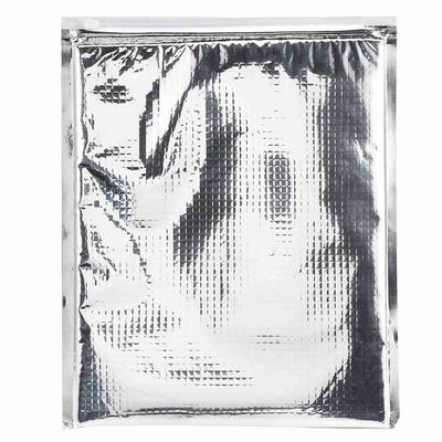5 stücke set Aluminium Folie Isolierte Lebensmittel Lagerung Tasche Thermische Kühler Silber (30 * 35cm)