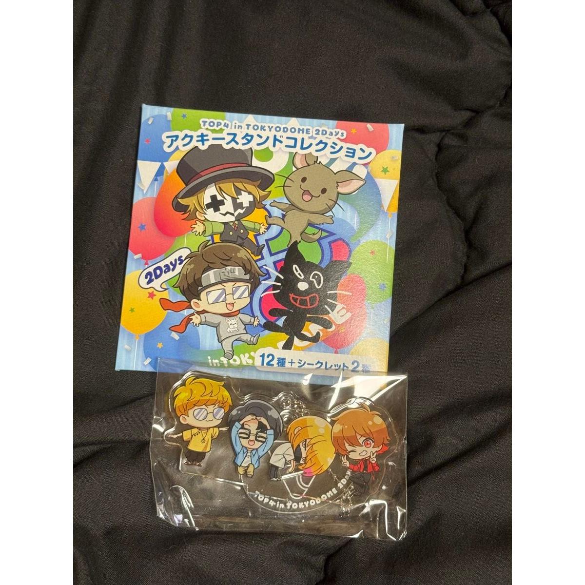 Used TOP4 in TOKYO DOME 2Days Acrylic Stand Collection Secret Acrylic Keychain