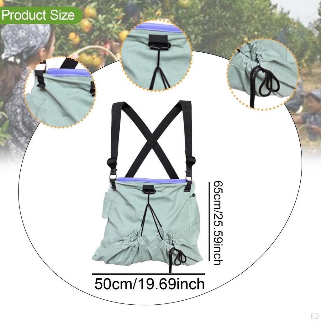 Canvas Bag for Fruit Collection, Foraging Holder Garden Use