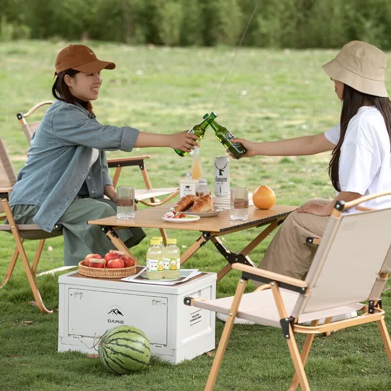 Damai Lightweight Folding Camping Chair