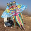 New Goldfish Kite Chinoiserie Red Blue Green Pink Stamping  Sale For Children