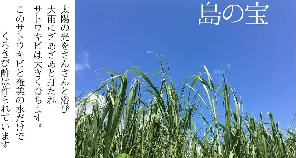 Treasure of the Island Long Aged Black Millet Vinegar 700ml Set of 2 with Wet Bottles Calcium Potassium