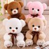 Cute Hug Teddy Bear Plush Toy - Valentine's & Birthday Gift for Girls