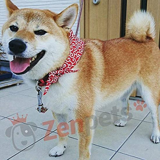 Zenpets Handana Dog Neck Cooler with Arabesque Includes Ice Made In Size L Pattern, Packs, Japan, (Red)