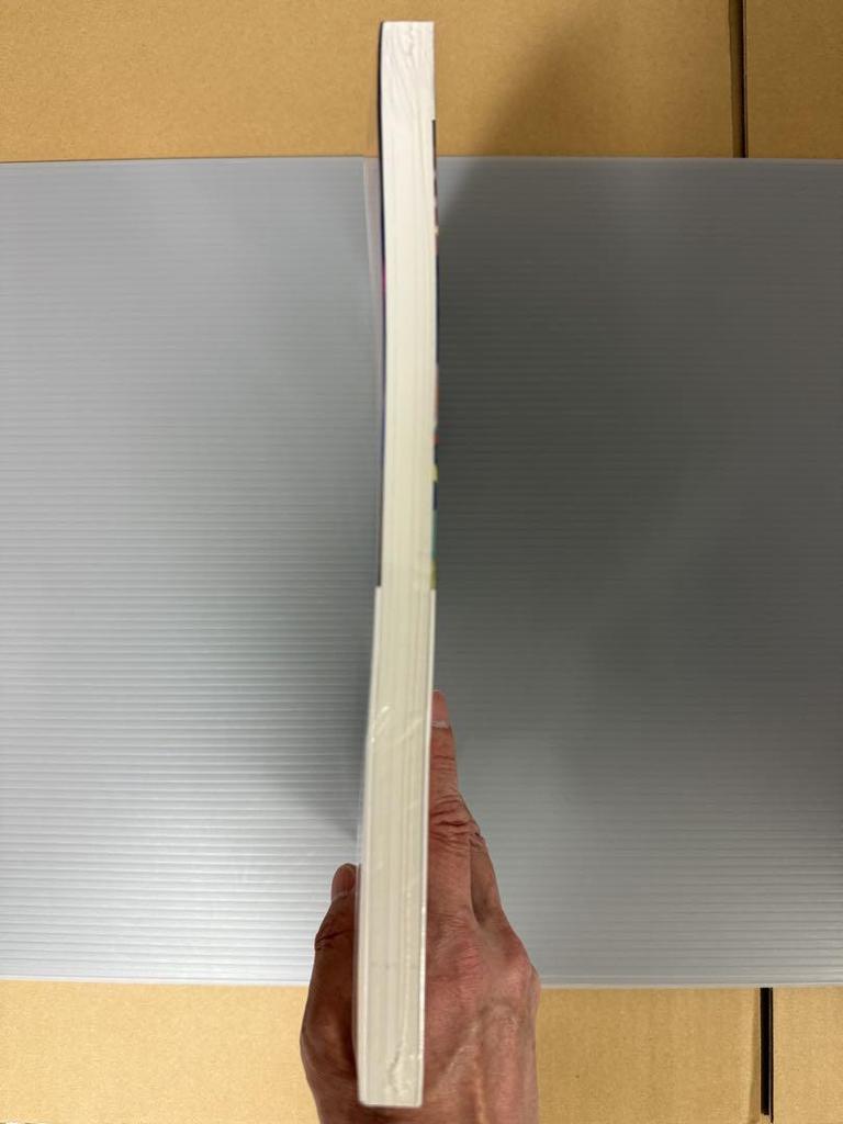 [USED] KARA's Japan-exclusive Official Photo Book Filled with Their Vibrant Charm