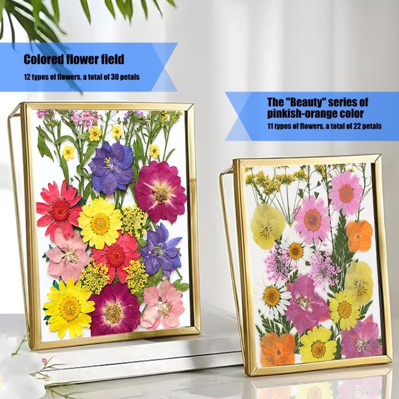 205Pcs Pressed Dried Flower For Resin Natural Dry Flower Leaf with Tweezers Sticker for Art Craft Candle Jewelry Making