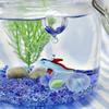 Fourcart Cute Handmade Glass Float, Ryugu no Tsuikai, Width: 31mm, Bead: 20mm